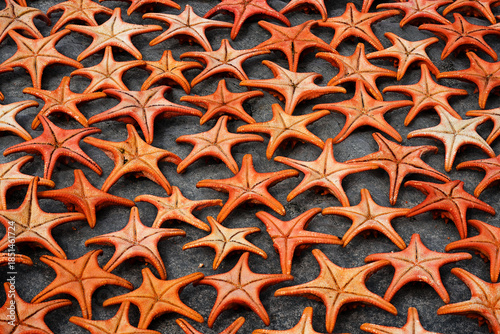 Vietnamese sun-drying starfish