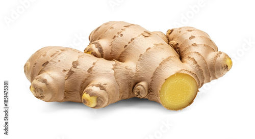 A single piece of fresh ginger root on a png transparent