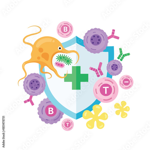A colorful diagram depicts immune cells attacking pathogens within a shield