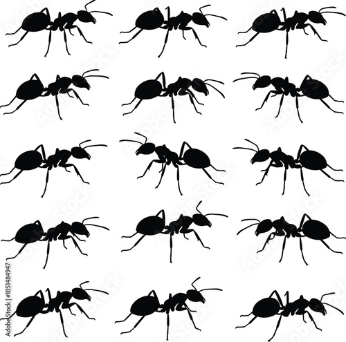 Ant silhouette set, insect side profile, black vector illustration, crawling pose, nature icon, entomology design, pattern grid, bug shape