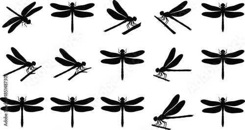Dragonfly silhouette set, flying dragonflies, perched insects, wing shapes, nature illustration, entomology vector, black insect icons, wildlife design