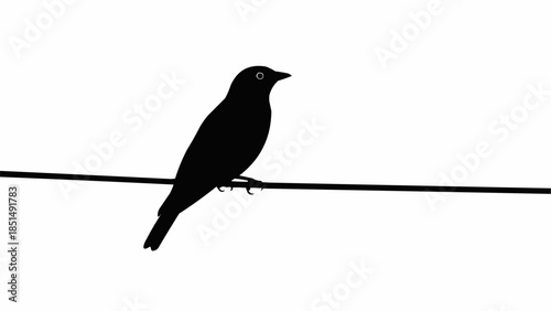 Silhouette of a Bird Perched on a Wire Against a White Background.