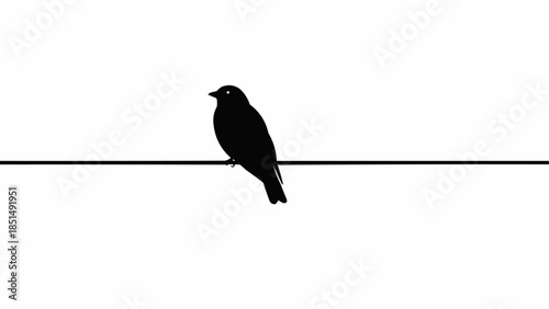 Silhouette of a small bird perched on a thin wire against a white background.