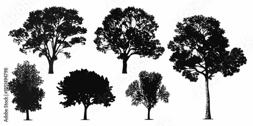 A collection of silhouetted trees against a plain white background