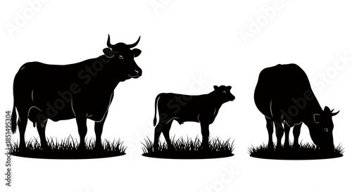 A clean vector illustration featuring three black silhouettes of cattle, including a cow, a calf, and a grazing animal, representing dairy farming.
