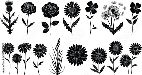 Diverse business team, modern office collaboration, professional colleagues working together, corporate teamwork concept, inclusive workplace culture, successful partnership, productivity growth