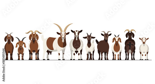 A vector illustration showcases a diverse group of dairy goats standing in a row, providing a visual representation of milk production and agricultural diversity.