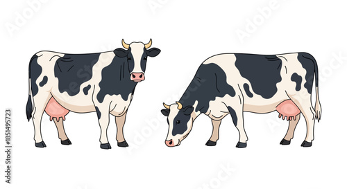 A charming vector illustration showcases two dairy cows, one standing and the other grazing, rendered in a simple, flat design style, perfect for educational or agricultural content.