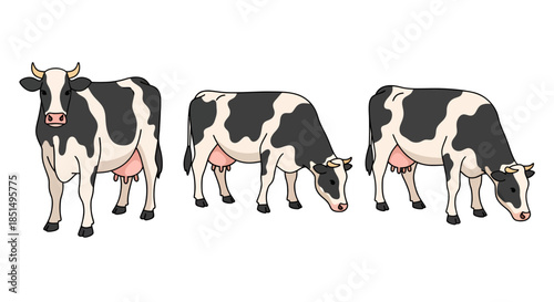 Three Holstein cows are depicted in a vector illustration, showcasing different poses such as standing and grazing, ideal for dairy or agricultural themes.