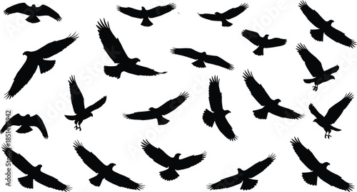 Flock of Flying Eagles and Birds of Prey Silhouettes, Majestic Wildlife, Freedom, Nature, Power, Hunting, Aviation, Hawk, Wild Bird Collection Vector.