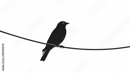 Silhouette of a Bird Perched on a Wire Against a White Sky.