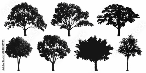 Collection of silhouetted trees with varying shapes and foliage densities
