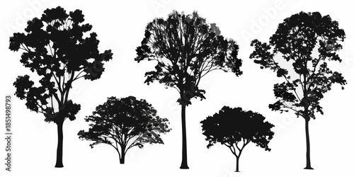 Silhouettes of various trees against a plain white background
