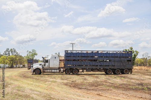 A large white semi-trailer truck carrying livestock stands in an open, grassy field in the Australian outback. The heavy-duty vehicle is equipped with a multi-level blue metal crate filled with cattle