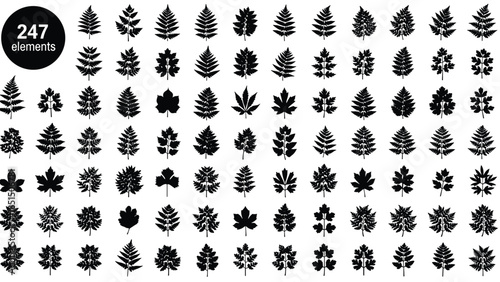 Black silhouettes of various leaf species set, forest nature elements collection with fern maple and deciduous leaves isolated on white.
