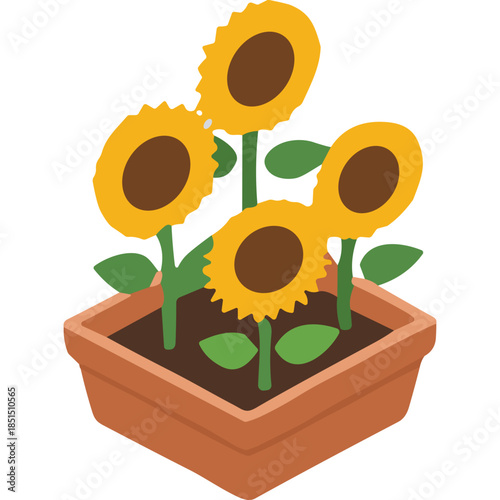 Cute Potted Sunflowers Isometric Illustration