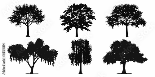 A collection of diverse tree silhouettes against a plain white background