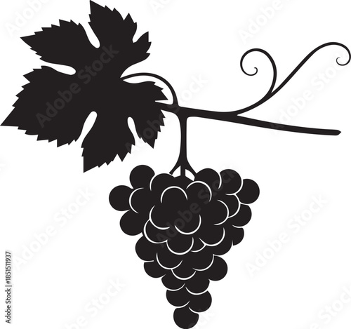 Silhouette of a grape cluster