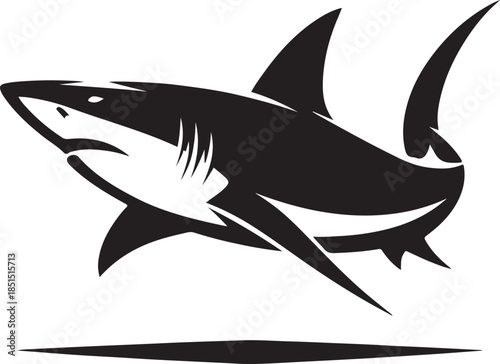 shark vector illustration