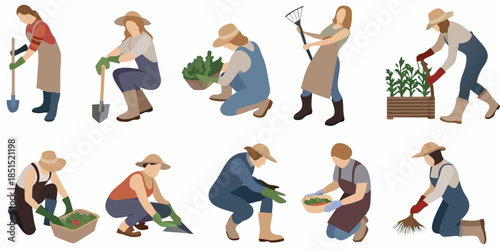 Gardeners tending to plants a collection of illustrations showing various gardening tasks