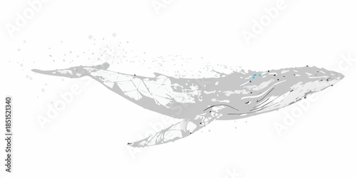 A grayscale depiction of a humpback whale with scattered blue dots