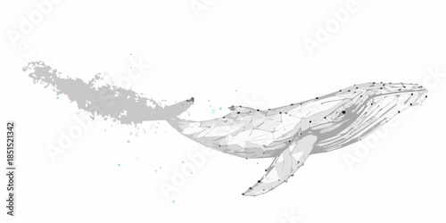 A geometric whale illustration with a water spout rendered in grayscale
