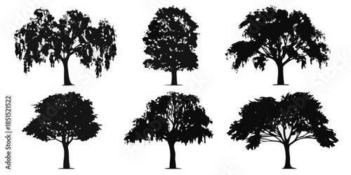 Silhouettes of various trees weeping willow pine and broadleaf varieties