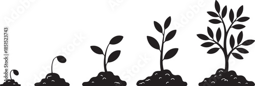 Plant Growth Stages Silhouette Featuring Seed Germination, Sprouting Seedlings, Leaf Development, and Mature Plant Progression in Black Vector Style
