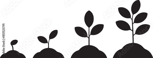 Seedling Growth Silhouette Set Featuring Plant Sprouts, Leaf Development Stages, and Soil Progression in Black Vector Style
