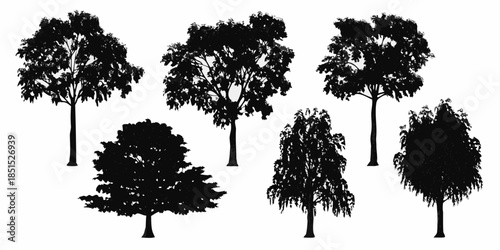 Silhouette collection of various trees with detailed foliage and trunks