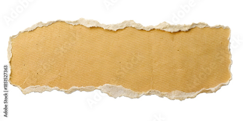 Old Paper Texture with Torn Edges