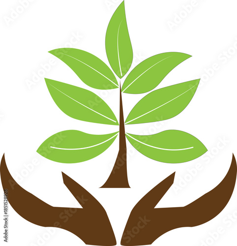 Hands holding a growing green plant seedling