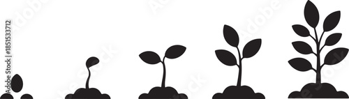 Plant Growth Stages Silhouette Featuring Seed Germination, Young Seedlings, and Early Leaf Development in Black Vector Style
