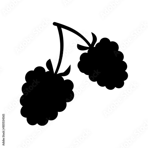 A bunch of ripe purple and green grapes with fresh leaves on a grapevine, featuring a sweet berry design perfect for wine, food, and vineyard agriculture vector illustrations