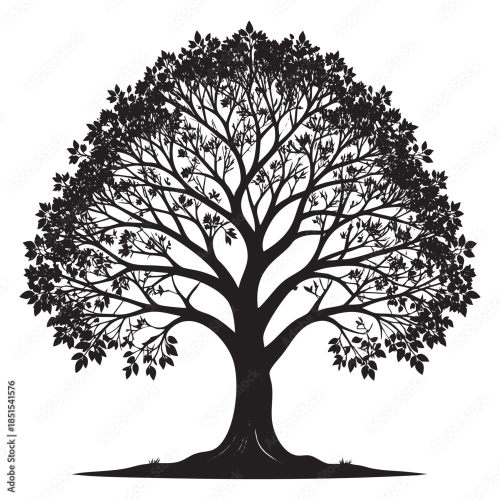 Obraz premium A black silhouette of a tree with sprawling branches