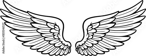 Wings sketch. Stylized birds wings. Hand drawn contoured stiker wing in open position. Vector design elements in coloring style