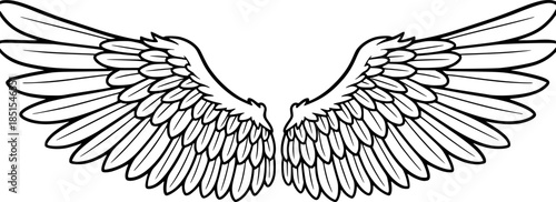 Wings sketch. Stylized birds wings. Hand drawn contoured stiker wing in open position. Vector design elements in coloring style