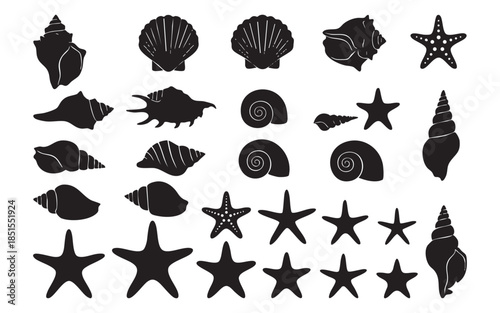 Seashell and Starfish Silhouettes
