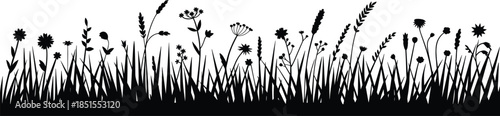 Wild grass and flower meadow silhouette border, natural floral plants landscape, spring summer nature background, black vector illustration isolated white background