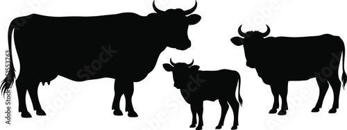 Cow bull and calf silhouettes set, farm cattle family group, rural livestock agriculture concept, black vector illustration isolated white background