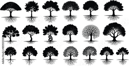 Set of tree silhouette with roots vector illustration collection, nature, forest, garden, life, ecology, growth, oak, elm, black graphic minimal design elements, organic logo icons.