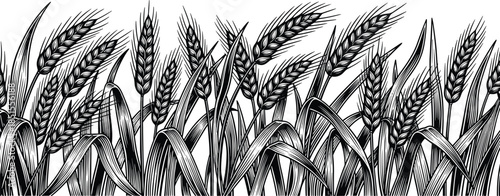 Set of woman sitting on chair silhouette vector illustration collection, female elegant pose, side view profile, interview, business, adult, black graphic minimal design elements, full body.