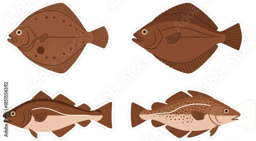 Four realistic flatfish illustrations with detailed scales on transparent background