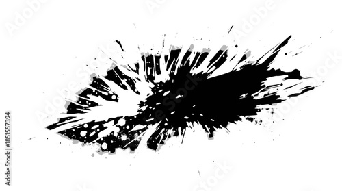 Wallpaper Mural A dynamic black and white abstract burst with radiating brush strokes and splatters, creating an energetic graphic design element. Torontodigital.ca