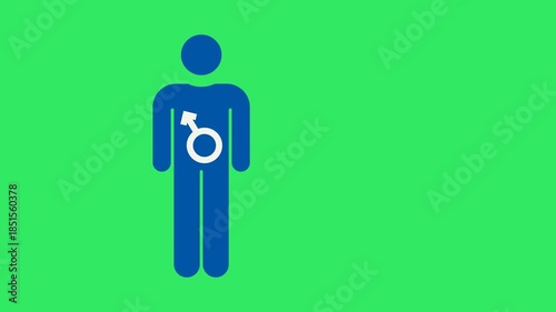 Animation of male and female with gender symbols
