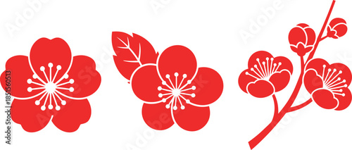Red plum blossoms illustrated in various stages of bloom on a white background