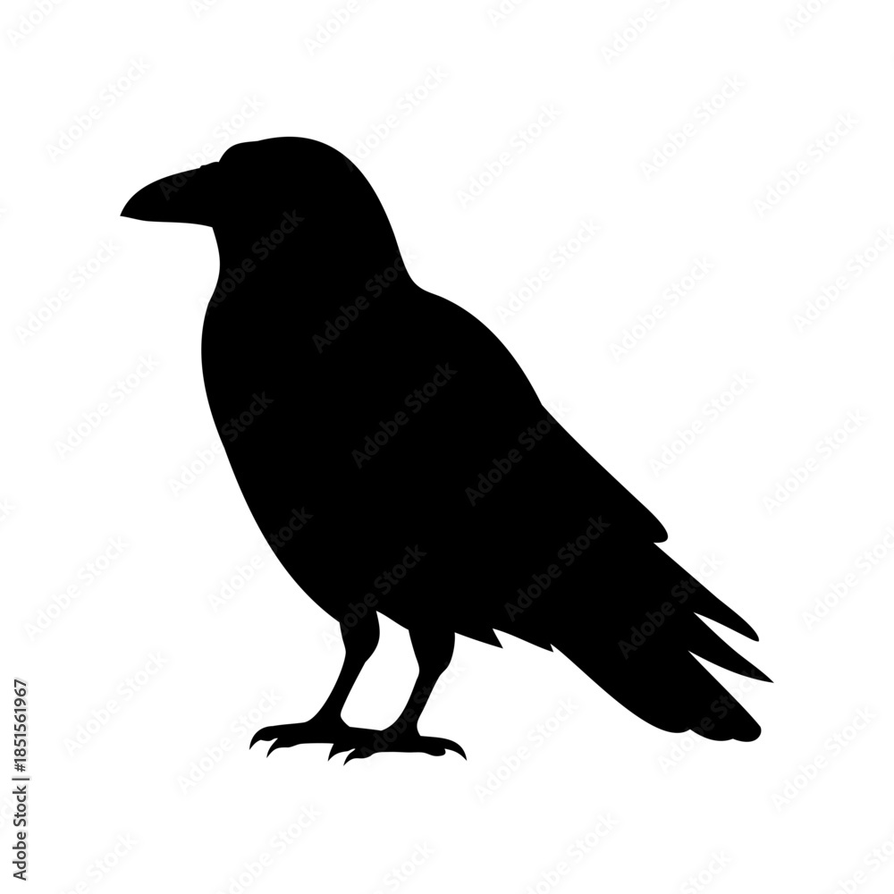 Fototapeta premium Black Crow Silhouette, Vector Raven Icon, Gothic Bird Symbol, Minimalist Ornithology Graphic