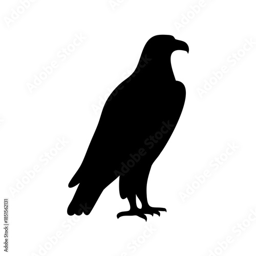 silhouette of a pigeon