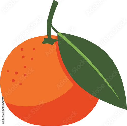Vibrant Orange Fruit with Leaf Illustration on White Background