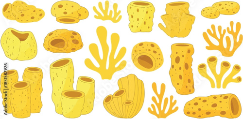 Colorful yellow sponge illustrations and coral shapes on transparent background